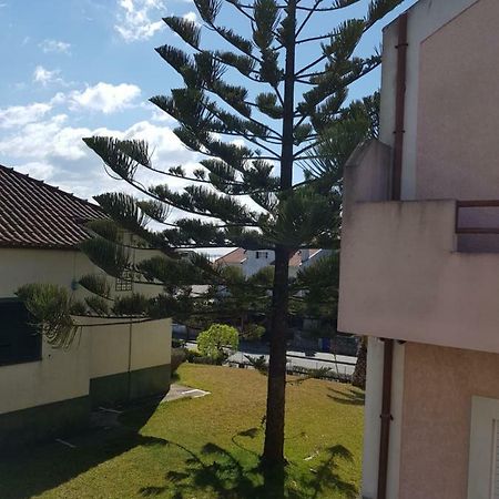 Mikes Beach Apartment 토레이라 외부 사진